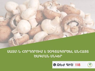 Անհայտ ծագման սնկերից թունավորման դեպքեր են արձանագրվել
