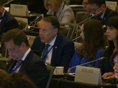 Head of Iceland delegation at OSCE PA: What would Azerbaijan do if it found itself in blockade?