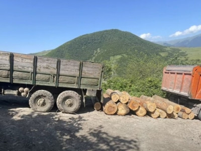 Գանձաքարում 2 բեռնատար գերաններ են ապօրինաբար տեղափոխել. վարորդները ձերբակալվել են