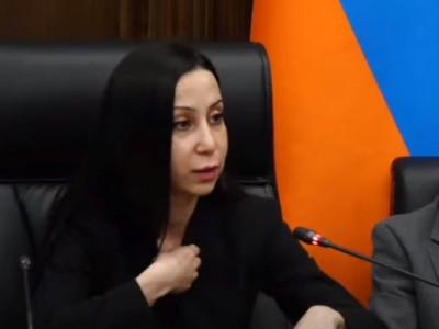 Իմ մայրը նման բառեր չի գրել, նման բառապաշար չունի. Մարիա Կարապետյանը՝ իր մոր անունով օգտատիրոջ հայհոյանքների մասին