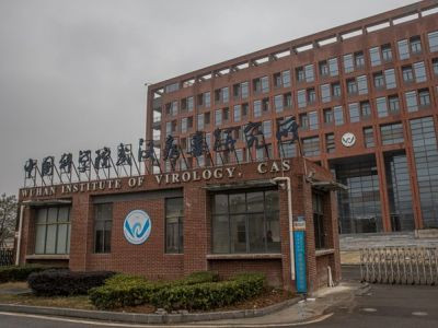 США приостановили финансирование Уханьского института вирусологии