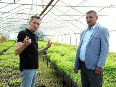 «Հայանտառի» և ՄԱԿ-ի համատեղ ծրագիրը կնպաստի անտառային տարածքների 2,5 տոկոսով ավելացմանը․ ՇՄՆ