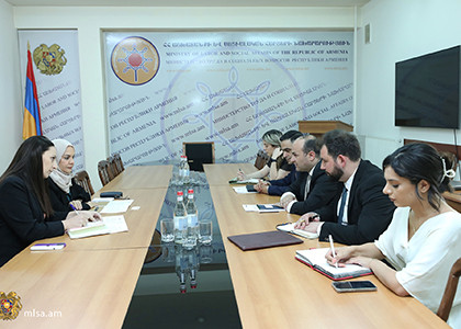 Նարեկ Մկրտչյանը հանդիպել է ԱՄԷ նոր դեսպանին. Կարևորվել է մի շարք ծրագրերի՝ գործնական փուլ տեղափոխելու հանձնառությունը