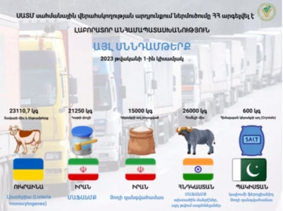 ՍԱՏՄ-ն ներկայացրել է 1-ին կիսամյակում հանրապետություն ներմուծումն արգելված թռչնամսի և ենթամթերքի մասին տվյալներ