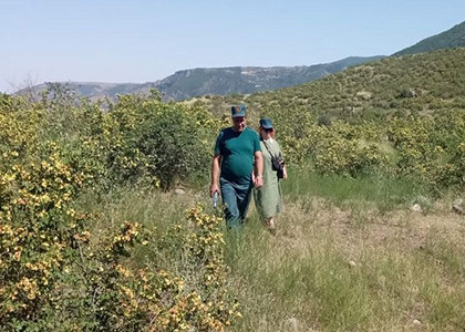 По дороге из села Хин Хот в село Шинуайр заблудились четверо граждан