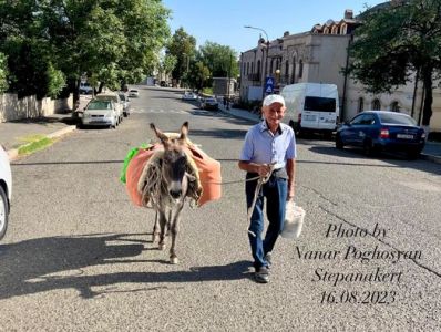Արցախցի պապիկը հողի բերք ու բարիքը էշով հասցրել է Ստեփանակերտում ապրող դստերը