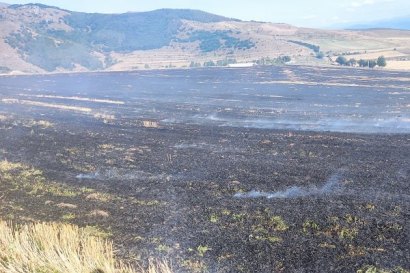 Пожар при въезде в село Ягдан: сгорело около 10 га пшеничного поля