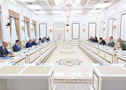 Спикер азербайджанского парламента воспользовалась встречей с главой МИД Бельгии для обвинений