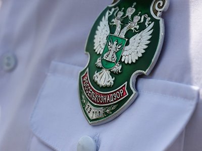 Россельхознадзор запрещает поставки семян моркови из армянского места отгрузки ООО «ЛАВАТЕРА»