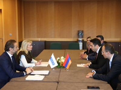 OSCE PA head to Armenia parliament speaker: Prospects of establishing regional peace to be discussed at special meeting