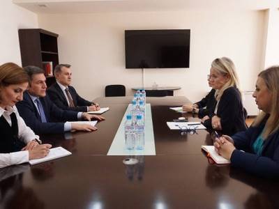 Deputy Armenian FM and MEP discuss regional security