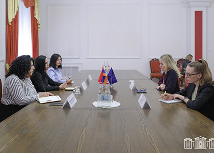 Մարիա Կարապետյանը «Եվրանեսթ» ԽՎ պատվիրակությանն է ներկայացրել ԼՂ-ից բռնի տեղահանման հետևանքով ստեղծված իրավիճակը