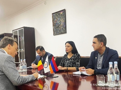 Անահիտ Մանասյանը Բելգիայի դեսպանին ներկայացրել է ԼՂ-ից բռնի տեղահանվածների իրավունքների պաշտպանությանն առնչվող հարցեր