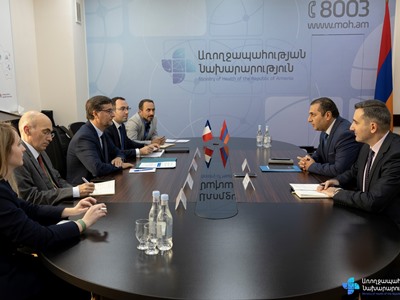 Франция выразила готовность оказать всестороннюю поддержку медцентрам Сюникской области