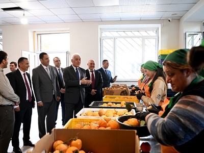 Визит президента Армении в Сюник продолжается: он посетил предприятие «Sunny Meghri»