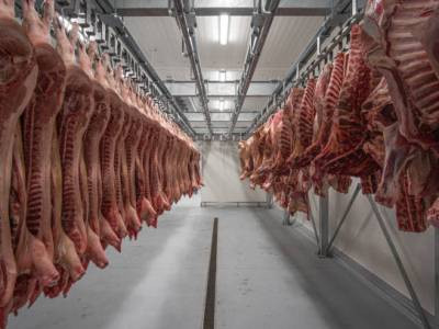 В октябре из Армении экспортировано более 16643 тонн продуктов питания и животноводческой продукции
