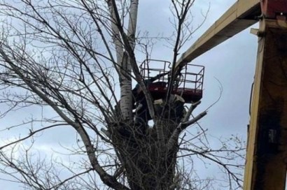 «Չերկեզի ձոր» կոչվող տարածքում քաղաքացին բարձրացել է ծառը և վնասել ոտքը. անհրաժեշտ է փրկարարների օգնությունը
