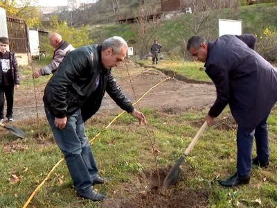 350 trees planted in Yerevan Zoo