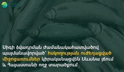 Усиленные мероприятия по надзору будут осуществляться на озере Севан и по всей территории Армении до 20 января