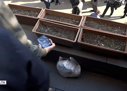 Протестующие в Алаверди граждане послали членам фракции «ГД» в Совете старейшин подгузники