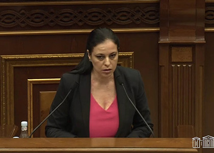 Депутат: После последнего инцидента в Раздане устроили бойню собак