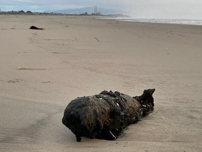 Huge waves wash up bomb on California beach on New Year's Eve