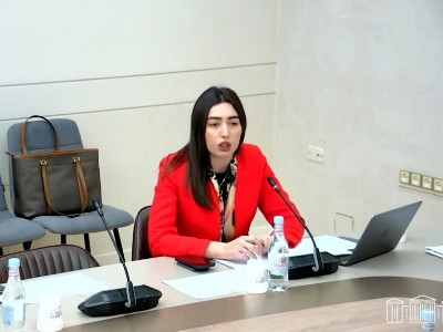 Армения регламентирует процесс реадмиссии с европейскими странами