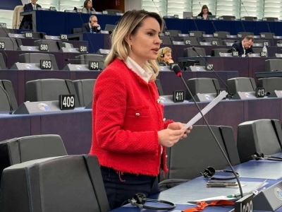 Armenia lawmaker at PACE: We face numerous challenges when addressing initiatives related to freedom of speech