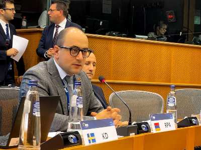 Խոսել եմ «պարտադրված խաղաղության» անընդունելիության, քաղբանտարկյալների իրավունքների մասին. Մամիջանյանը՝ ԵԺԿ-ում