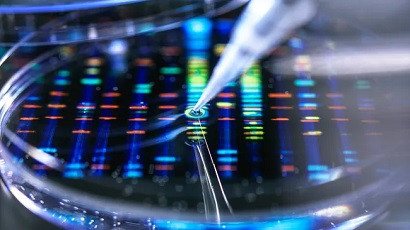 Researchers map genomes of more than 50 animal species by creating 'evolutionary time machine'