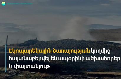 Էկոպարեկային ծառայության կողմից հայտնաբերվել են ապօրինի ածխահորեր և փայտանյութ