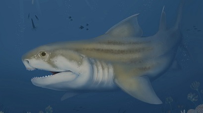 Fossils of 3 previously unknown species of ancient sharks discovered in US