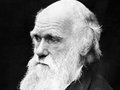 Researchers reassemble Charles Darwin's lost library