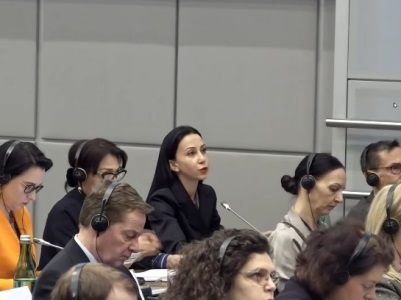 Ադրբեջանը ցանկանում է շարունակել հակամարտությունը, մենք՝ չէ. Մարիա Կարապետյան