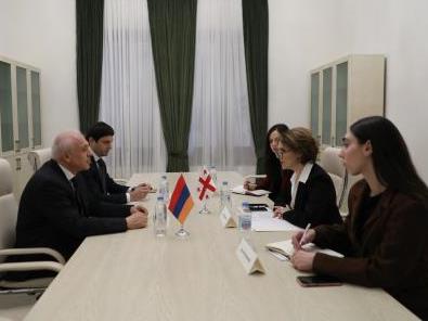 Քննարկվել է ՀՀ-ի և Վրաստանի խորհրդարանների մշակույթի հանձնաժողովների համատեղ նիստի հնարավորությունը