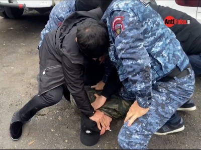 Депутат обратилась к генпрокурору и главе МИД Армении в связи с задержанием оппозиционного деятеля