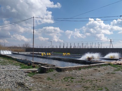 Վաղարշապատում կասեցվել է ձկնաբուծարանի ապօրինի ջրառը. Ներկայացվել է վնասի փոխհատուցման պահանջ