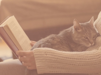 US First Lady writes children’s book about her cat