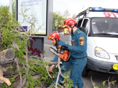 Թումանյան փողոցում ծառի ճյուղը թեքվել և ընկել է էլեկտրական լարերի վրա, առկա է ընկնելու վտանգ