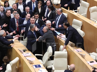 Заседание парламента Грузии началось со стычки