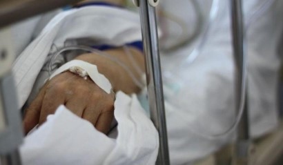 Oragir.news: На днях скончалась женщина, подвергнувшаяся нападению собак