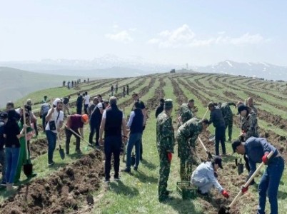 Քրեակատարողական հիմնարկների ծառայողները մասնակցել են համապետական ծառատունկին