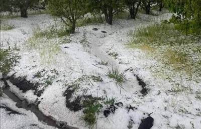«Սա ձյուն չէ, այլ կարկուտ». Սուրենյանը լուսանկար է հրապարակել