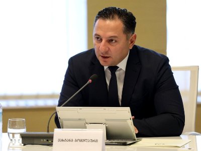 Глава МВД Грузии заявил, что не допустит переворота в стране