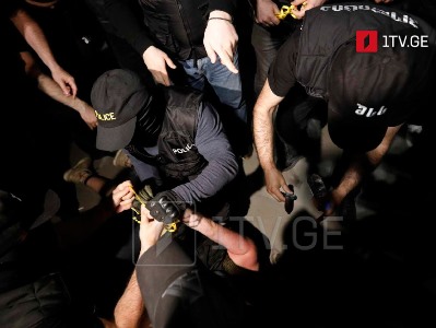 МВД Грузии: на митинге перед зданием парламента задержаны 20 человек