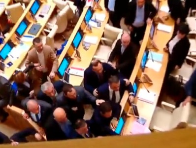 В парламенте Грузии между депутатами произошла потасовка