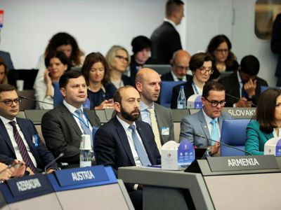 Armenia FM: We navigate through challenging times where threshold for use of force is alarmingly high