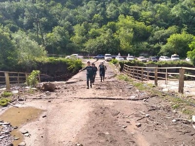 ՀՄՏԿ-ից հորդորում են Լոռու և Տավուշի աղետի գոտիներում անկած կենդանիներ տեսնելու դեպքում տեղեկացնել