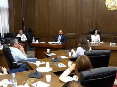 Глава МИД Армении: Когда мы предложили снизить планку в вопросе Нагорного Карабаха, нас назвали предателями