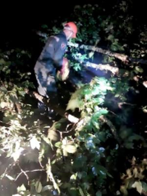 На дорогу, ведущую к монастырскому комплексу Агарцин, упало дерево, заблокировав дорогу с обеих сторон